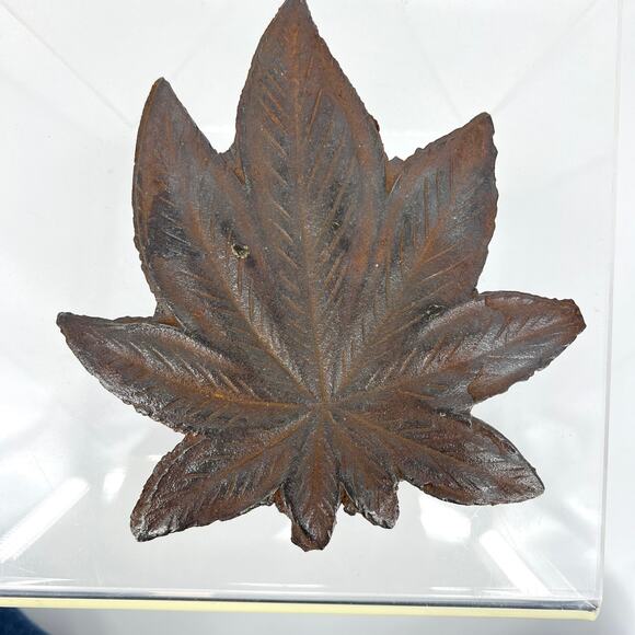 Vintage Cast Iron Wrought Iron Sculpted Leaf Decor 7" - Picture 1 of 6